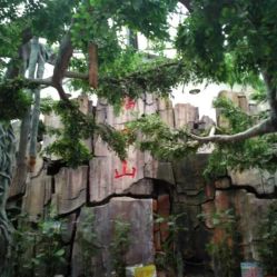 御景生態(tài)園酒店電話,地址,營業(yè)時間 泰安美食