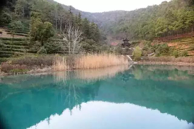 每逢過年胖三斤,快來吳中燃燒你的卡路里!