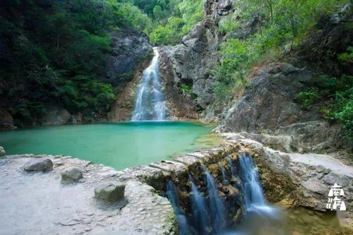 破局出圈，是每個(gè)人都該有的勇氣——九龍?zhí)渡鷳B(tài)園啟示錄