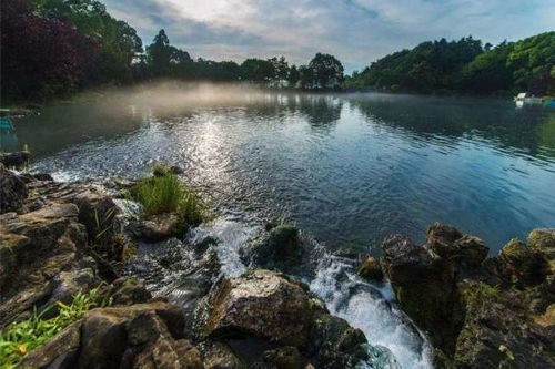 南京市野生動(dòng)物生態(tài)園與九龍?zhí)渡鷳B(tài)園 親子旅游首選景點(diǎn)
