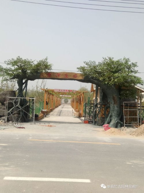 九龍?zhí)渡鷳B(tài)園的仿木假樹大門 自然與匠心的完美融合